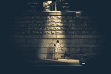 A young boy hold a leash which connect to dog