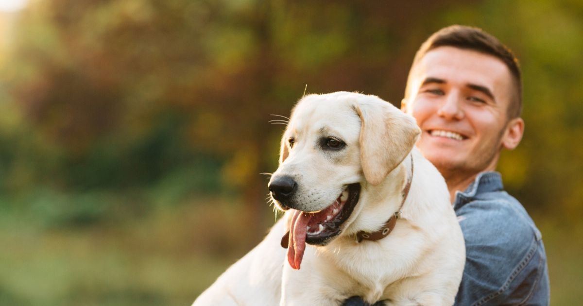 CAN A DOG SLIP OUT OF A MARTINGALE COLLAR