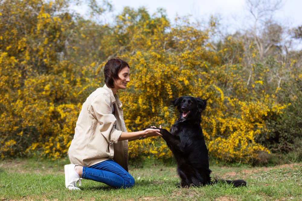 DOG TRAINING