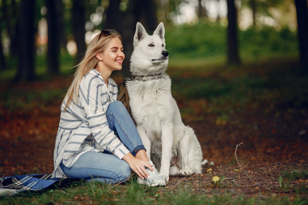 GERMAN SHEPHERDS