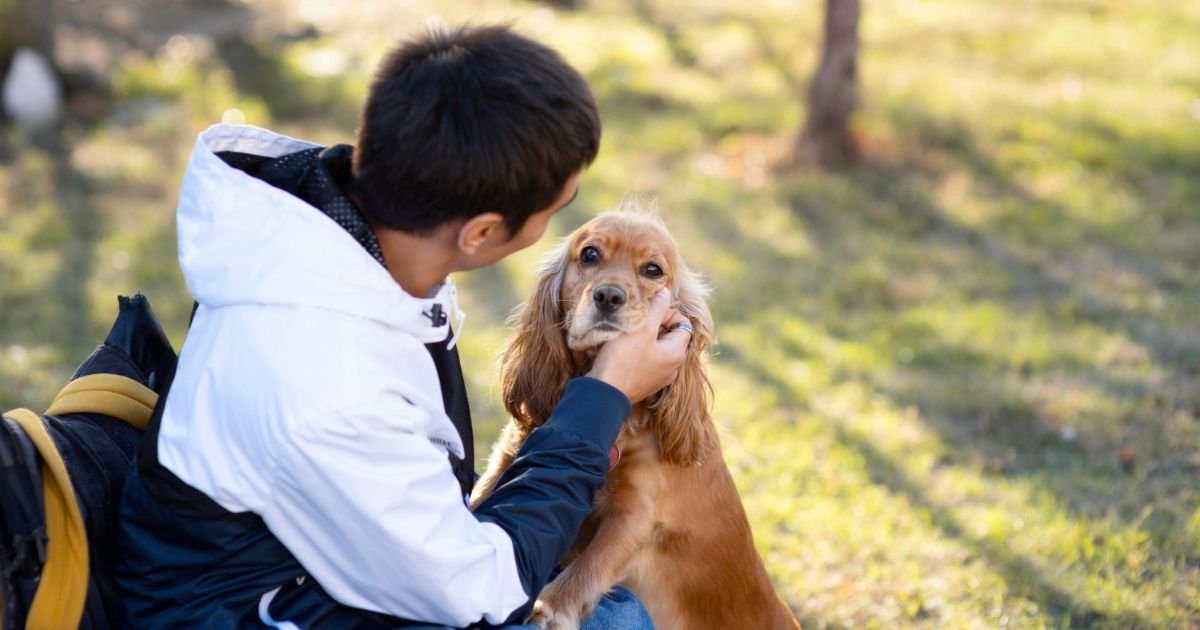 HOW TO TEACH A RESCUE DOG TO PLAY WITH TOYS